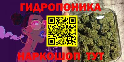 твердый Краснознаменск