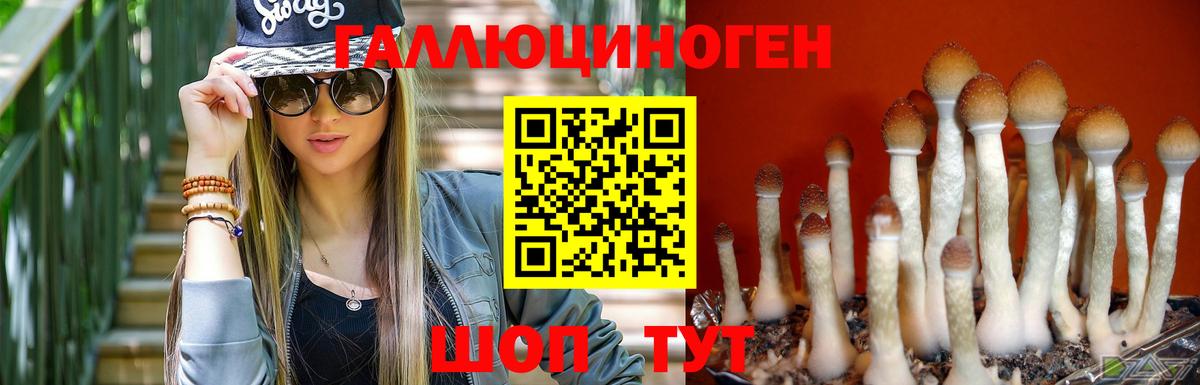 Галлюциногенные грибы MAGIC MUSHROOMS  Вход с VPN  Кудымкар 